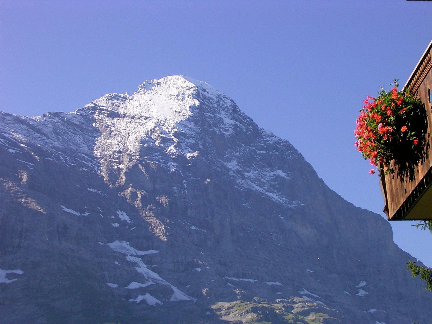 Hotel Bellary Grindelwald Extérieur photo