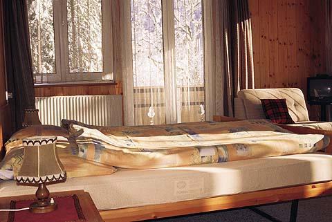 Hotel Bellary Grindelwald Extérieur photo